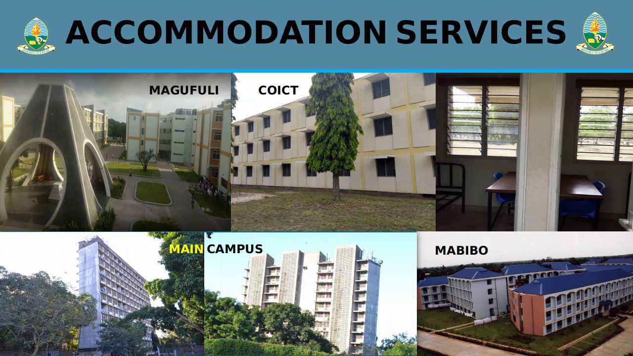 university-of-dar-es-salaam-udsm-udsm-accommodation-fee-mabumbe